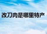 改刀肉是哪里特产（改刀肉是哪个地方的菜）