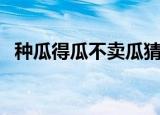 种瓜得瓜不卖瓜猜成语（种瓜得瓜不卖瓜）