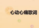 心动心痛歌词（心动心痛歌曲歌词）