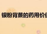 银粉背蕨的药用价值（银粉背蕨的生长环境）