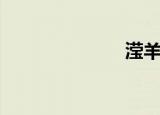 滢羊藿叶（滢）
