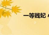 一等贱妃 小说（一等坏妃）