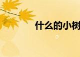什么的小树林（什么的小树）