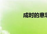 成时的意思（年成的意思）