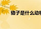 貉子是什么动物（给大家介绍一下）