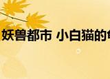 妖兽都市 小白猫的龟（妖兽都市小白龟的猫）