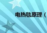 电热毯原理（电热毯原理是什么）