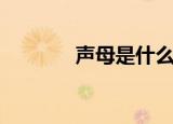声母是什么（声母专业解释）