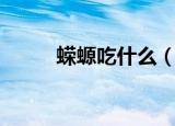 蝾螈吃什么（原来它喜欢吃这个）