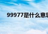 99977是什么意思（99977的意思介绍）