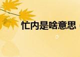忙内是啥意思（忙内是什么意思啊）