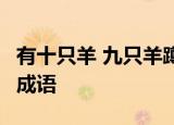 有十只羊 九只羊蹲在羊圈 一只蹲在猪圈 打一成语