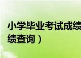 小学毕业考试成绩查询平台（小学毕业考试成绩查询）