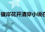 彼岸花开清穿小说在线阅读（彼岸花开 清穿）