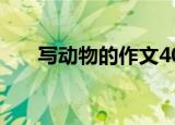 写动物的作文400字（写动物的作文）