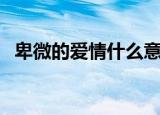 卑微的爱情什么意思（卑微的爱情的含义）
