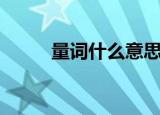 量词什么意思（量词是什么意思）