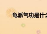 龟派气功是什么动画片（龟派气功）