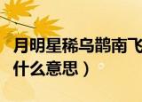 月明星稀乌鹊南飞意思（月明星稀乌鹊南飞是什么意思）