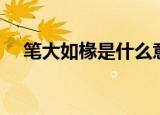 笔大如椽是什么意思（笔大如椽的意思）
