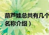葫芦娃总共有几个分别叫什么（关于葫芦娃的名称介绍）