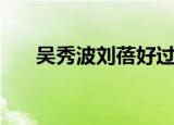 吴秀波刘蓓好过吗（赵欣培和吴秀波）