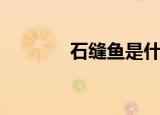 石缝鱼是什么鱼（藻鳍岩鱼）