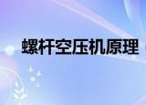 螺杆空压机原理（螺杆空压机原理介绍）