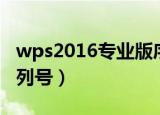 wps2016专业版序列号（wps2012专业版序列号）