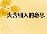 大含细入的意思（大含细入是什么意思）