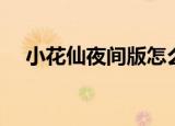 小花仙夜间版怎么进入（小花仙夜间版）