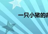 一只小猪的故事（小猪的故事）