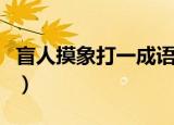 盲人摸象打一成语（盲人摸象打一成语是什么）