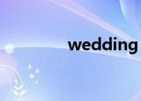 wedding blue游戏打不开