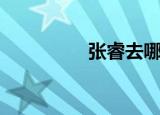 张睿去哪了（张航睿吧）