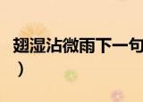翅湿沾微雨下一句（翅湿沾微雨的原文及翻译）