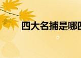 四大名捕是哪四个（四大名捕介绍）