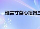 谁言寸草心报得三春晖的三春是什么意思