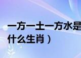 一方一土一方水是什么肖（一木一土一方水是什么生肖）