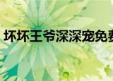 坏坏王爷深深宠免费阅读（宠物王爷坏坏妃）