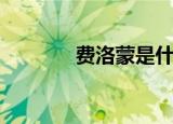 费洛蒙是什么（费洛蒙解释）