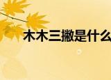 木木三撇是什么（木木三撇是哪个字）
