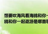 想要吹海风看海鸥和你一起遨游是什么歌（想要吹海风看海鸥和你一起遨游是哪首歌）
