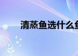 清蒸鱼选什么鱼（清蒸鱼选哪种鱼）