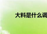 大料是什么调料（大料是指什么）