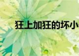 狂上加狂的坏小子（坏小子 狂上加狂）