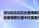 词句知否知否应是绿肥红瘦中红瘦本意指哪种花（知否知否应是绿肥红瘦中红瘦是什么花）