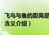 飞鸟与鱼的距离是什么意思（飞鸟与鱼的距离含义介绍）