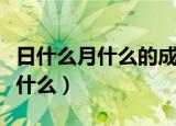 日什么月什么的成语（日什么月什么的成语有什么）