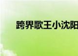 跨界歌王小沈阳唱的歌（有哪些歌呢）